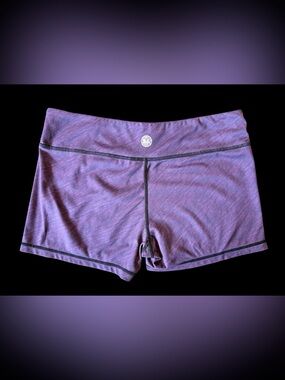 IAB MFG Womens Large 10 Purple No Ride Compression Shorts CrossFit Workout